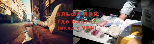 крисы Арсеньев