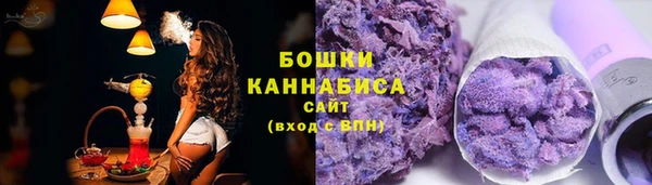 мдпв Козельск