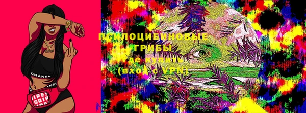 apvp Аркадак