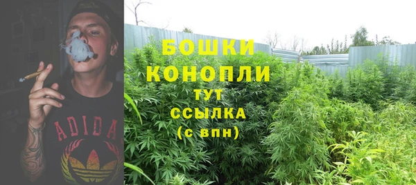 крисы Арсеньев