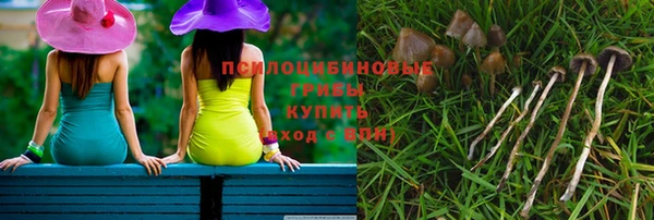 крисы Арсеньев