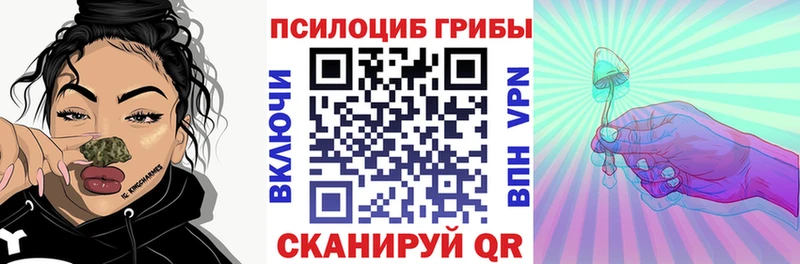как найти закладки  Заречный  мега ONION  Галлюциногенные грибы MAGIC MUSHROOMS 